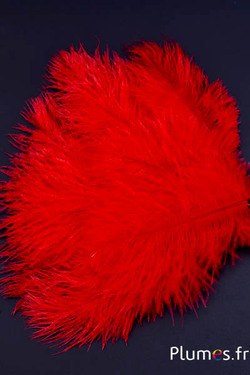 Struzzo barbules - 8-15 cm - rosso